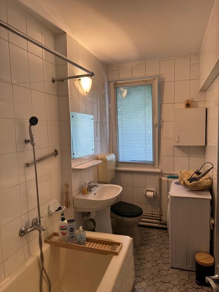 Sala Palatului, Cismigiu